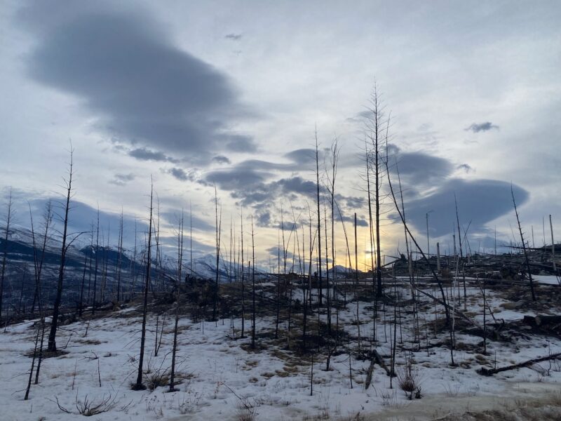 Jasper Wildfire,near Icefields Parkway. Image © PlanetSKI